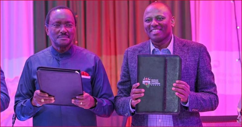 File image of Kalonzo Musyoka and Kimani Ichung'wah with the NADCO report.